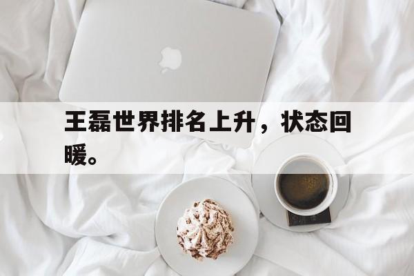 九游游戏中心官网在线-王磊世界排名上升，状态回暖。