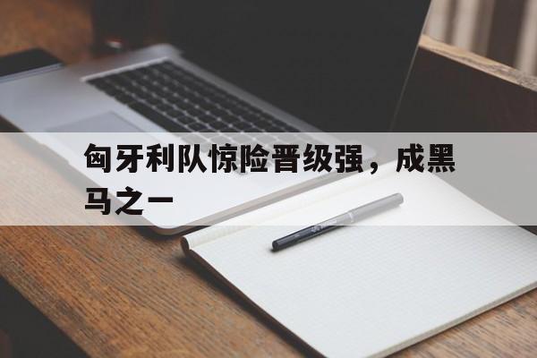 九游游戏中心官网在线-匈牙利队惊险晋级强，成黑马之一